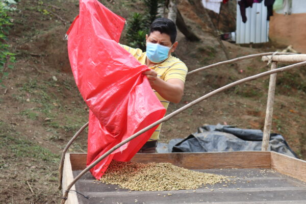 Carlos Márquez  beim Trocknungsprozess der Kaffeebohnen auf seiner Finca