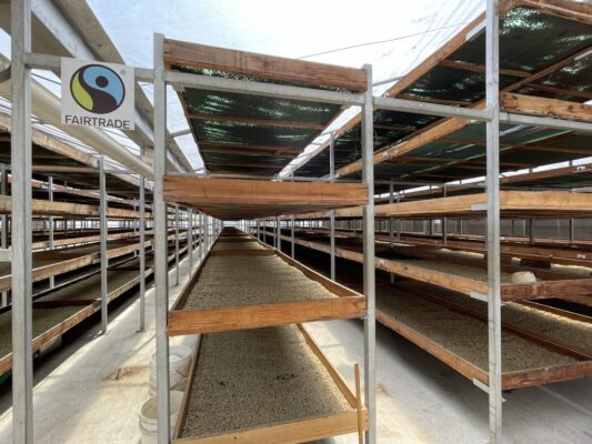 Solartrockungsanlage mit Kaffee für den fairen Handel
