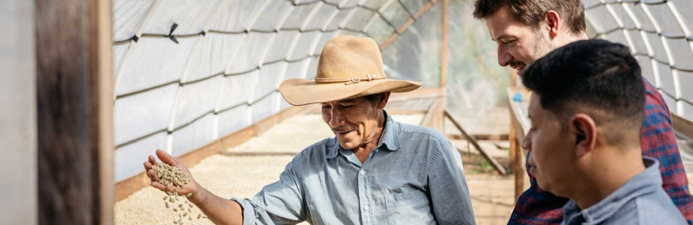 Tatico Kaffeee: Fairer Genuss. Direkt gehandelt.