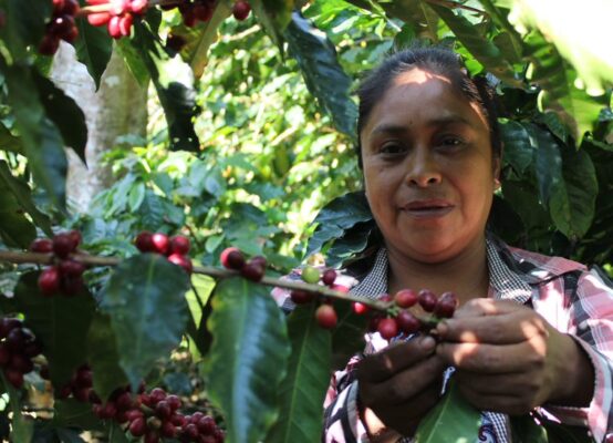 Rita, Kaffee Produzentin